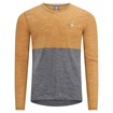 Langarmshirt zimt-grau Vorderseite mit Brustprint