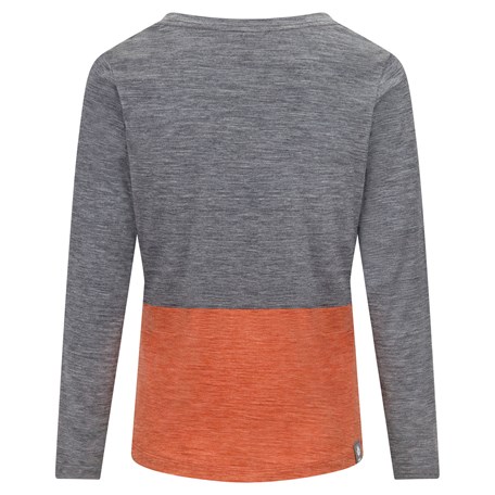 Langarmshirt grau-terracotta Rückseite mit DAV Loop-Label