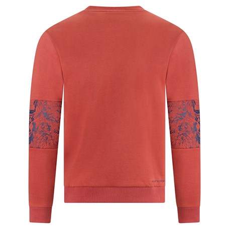 Rückseite des Pullovers