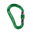 Draufsicht grüner HMS-Karabiner mit DAV-Edelweiß Gravur