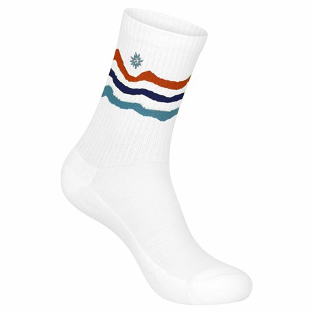 Socke terra