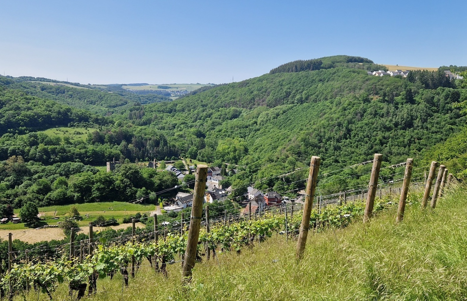 Schlossberg Sommerau